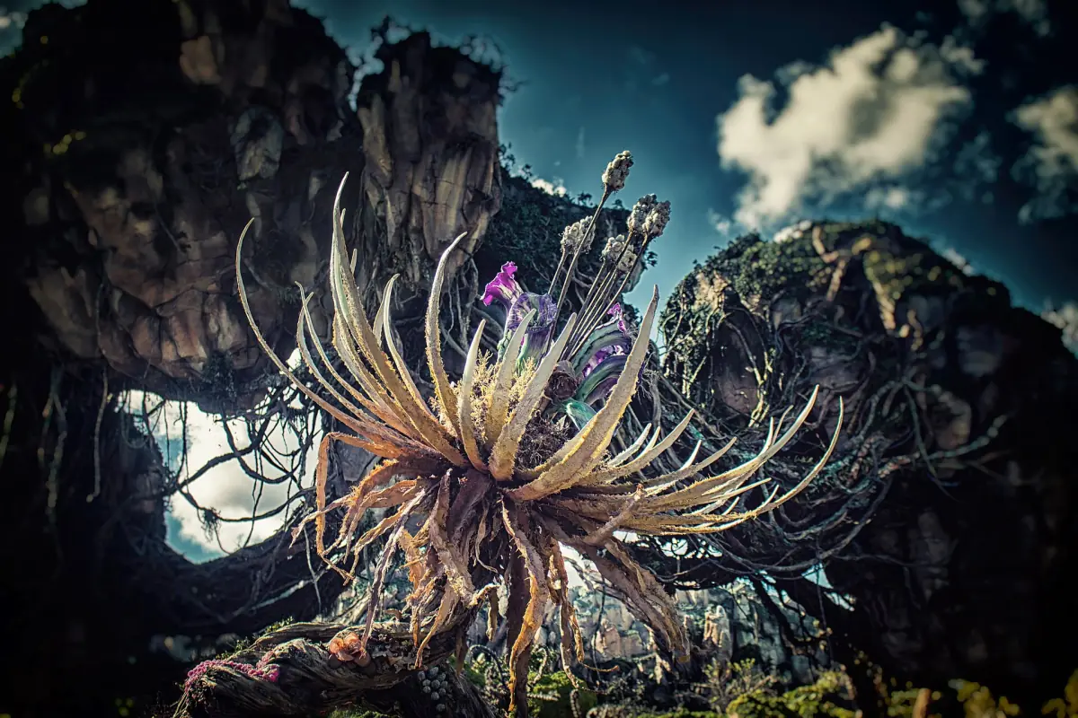 Rochas flutuantes e plantas em Pandora no Animal Kingdom