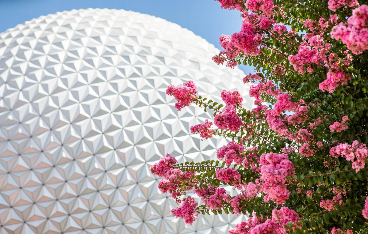 Spaceship Earth behind flowering shrubs